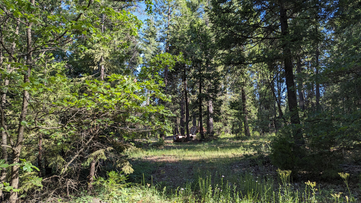 7693 Linda View from Plateau Pines